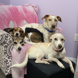 Fundraising Page: Kathleen Christiansen